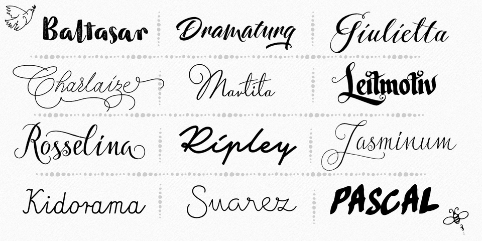 Buy Fonts For Adobe Illustrator